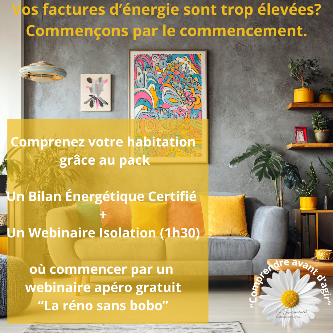 Pack Isolation "comprendre avant d'agir" Bilan énergétique + webinaire
